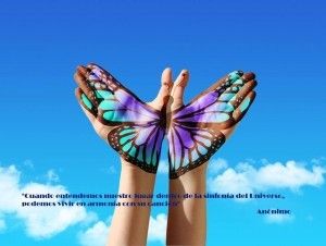 mariposa Somos Armonia