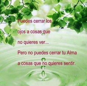 trampas mentales trampas mentales
