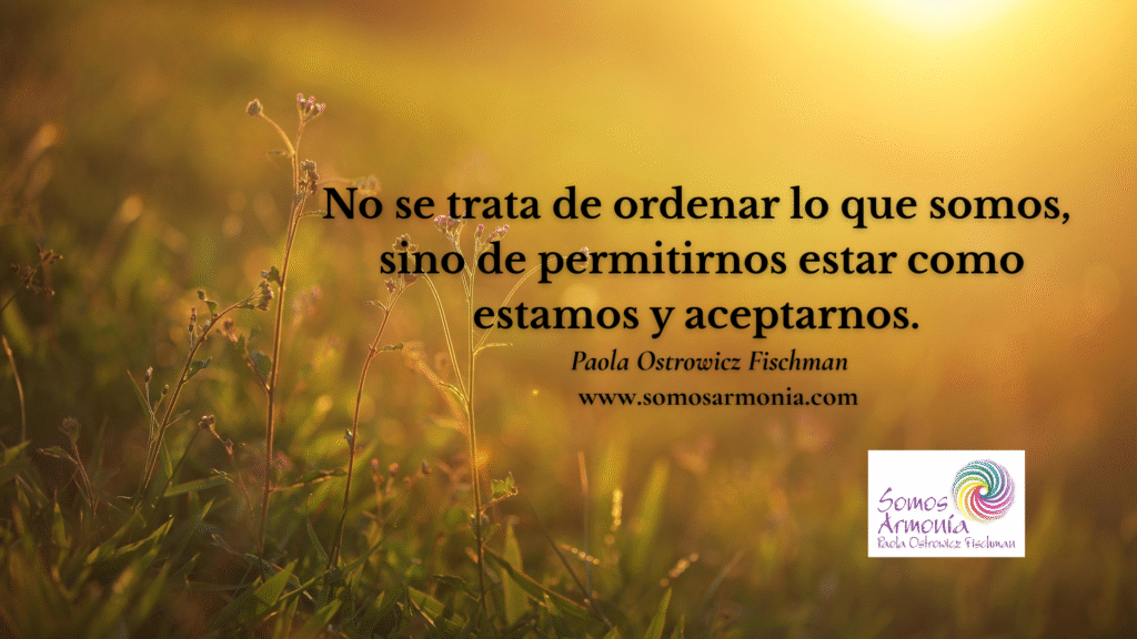 Flores silvestres al atardecer y frase sobre conexión cuerpo mente y emoción