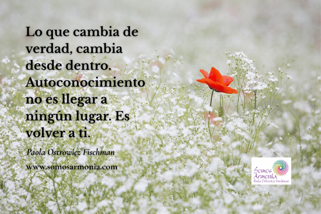 Imagen de cierre del artículo sobre crecimiento personal y autoconocimiento. Una flor roja destaca entre flores blancas, con la frase: “Lo que cambia de verdad, cambia desde dentro. Autoconocimiento no es llegar a ningún lugar. Es volver a ti.
