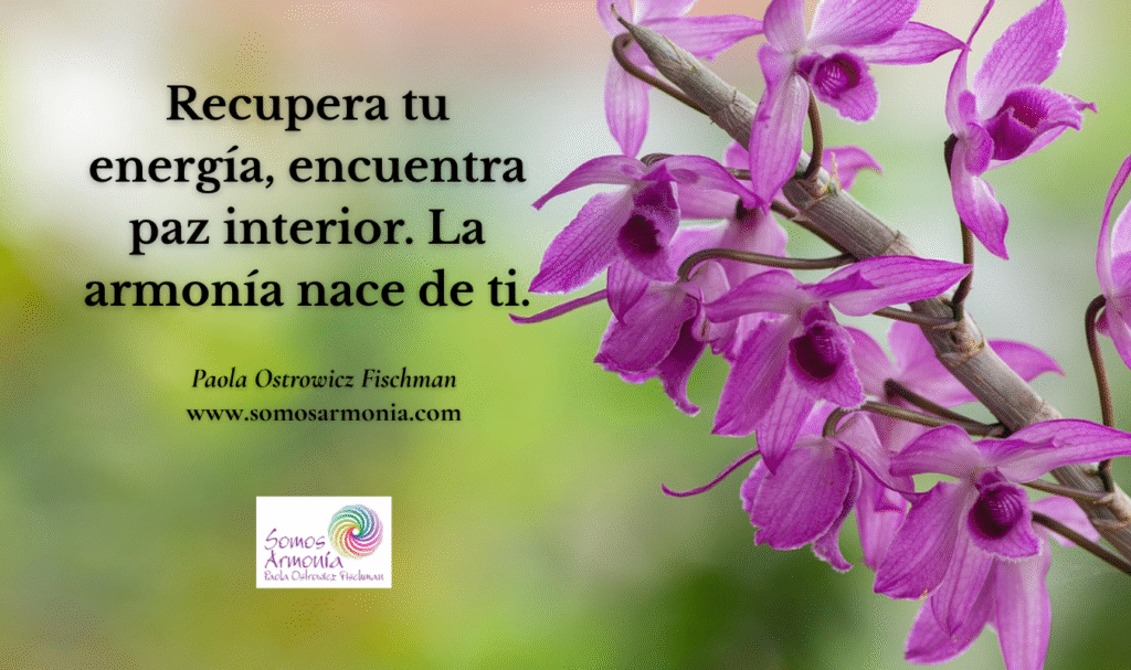 Orquídeas moradas en flor, simbolizando la armonía interior y la recuperación de energía y paz.