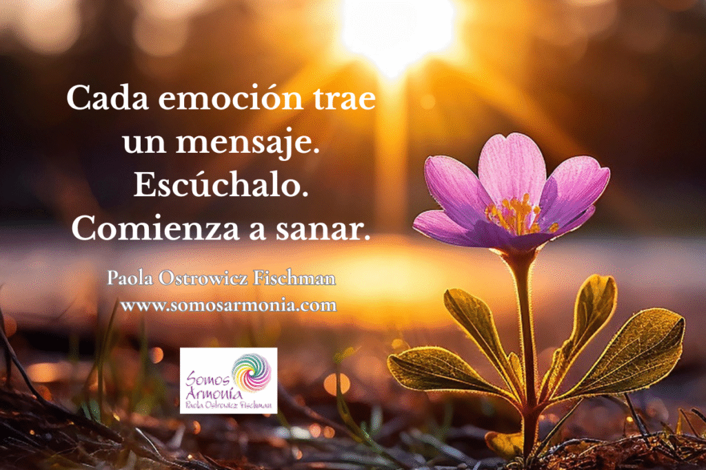 Flor morada iluminada por el sol al atardecer, símbolo de equilibrio emocional y sanación holística desde la mirada de Somos Armonía.
