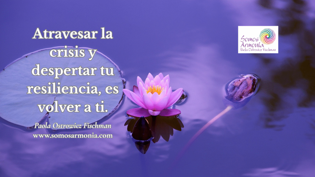Flor de loto rosa sobre el agua con fondo violeta, símbolo de resiliencia y transformación interior. Imagen representativa del artículo “Momentos inesperados de cambio vital: sostén y claridad en tiempos de crisis” de Somos Armonía.