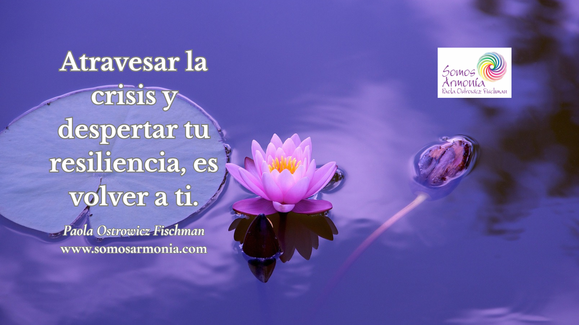 Flor de loto rosa sobre el agua con fondo violeta, símbolo de resiliencia y transformación interior. Imagen representativa del artículo “Momentos inesperados de cambio vital: sostén y claridad en tiempos de crisis” de Somos Armonía.
