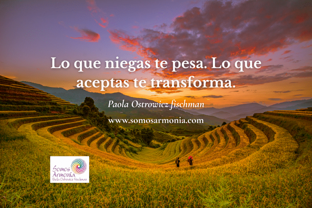 Campos de arroz en terrazas de montaña al atardecer, con una persona en el centro y la frase 'Lo que niegas te pesa. Lo que aceptas te transforma', simbolizando la aceptación y transformación interior en un camino escalonado.