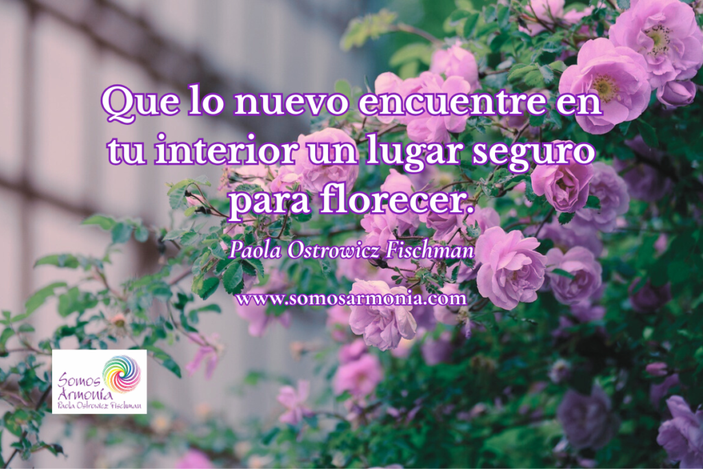 Un lugar seguro en el interior para florecer y sanar cargas emocionales y energéticas - Somos Armonía.